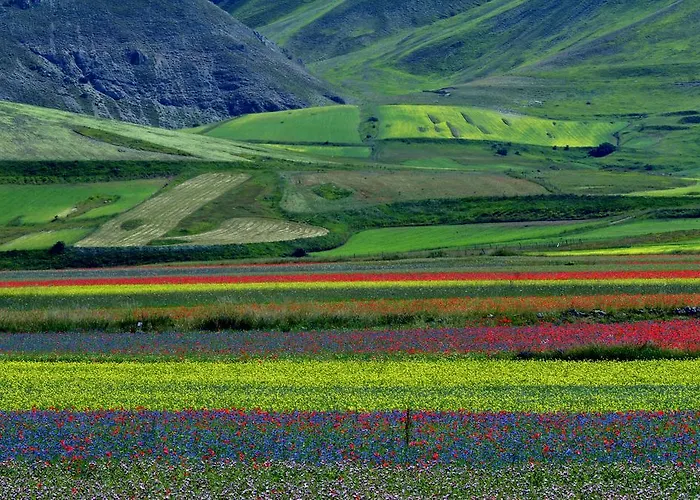 オテル クラーリチ 3* スポレート