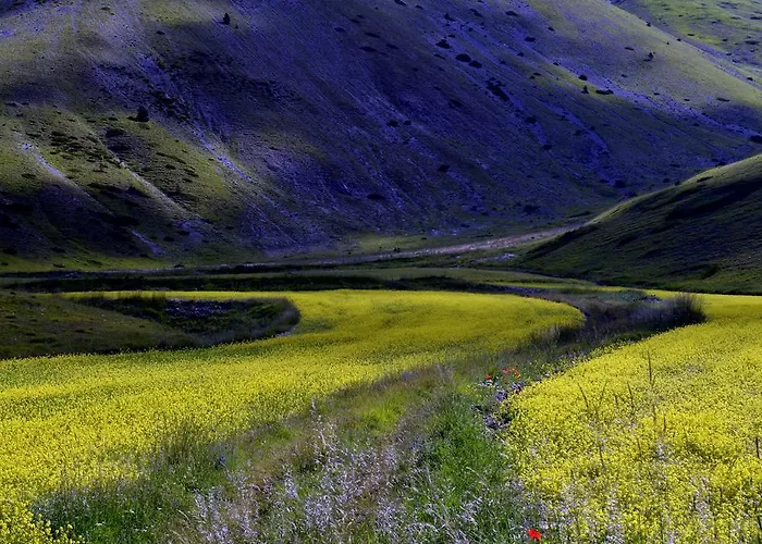 ホテル オテル クラーリチ 3*